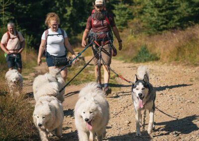 psie spotkania i wydarzenia