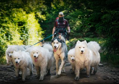 psie spotkania i wydarzenia