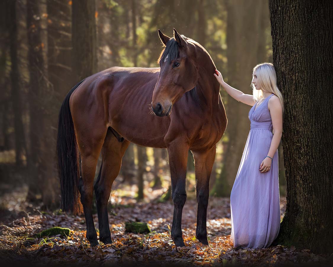 koń i kobieta w lesie