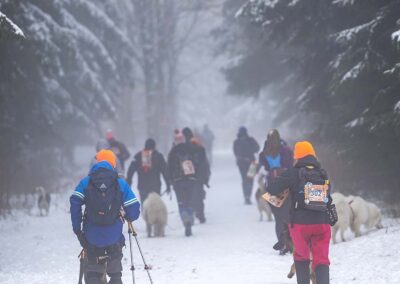 psie spotkania i wydarzenia
