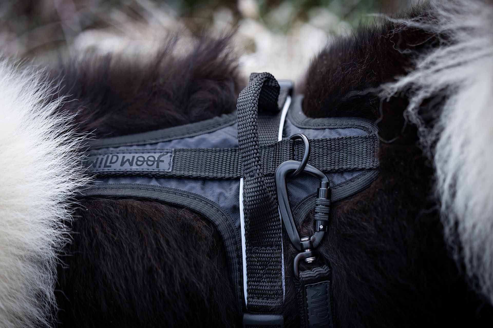 psie gadżety i wyposażenie