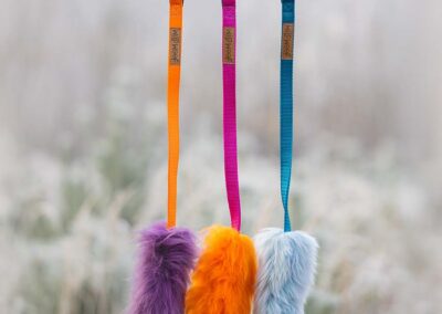 psie gadżety i wyposażenie