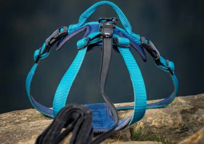 psie gadżety i wyposażenie