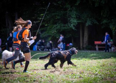 psie spotkania i wydarzenia