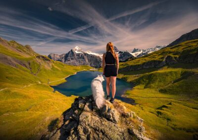 pies na tle pięknego górskiego krajobrazu