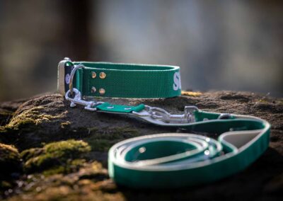 psie gadżety i wyposażenie