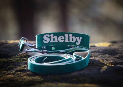 psie gadżety i wyposażenie