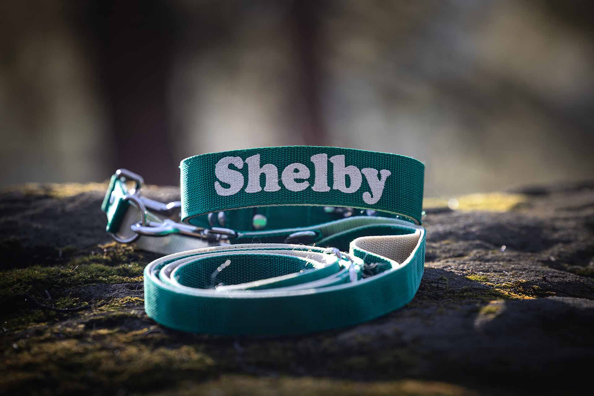 psie gadżety i wyposażenie