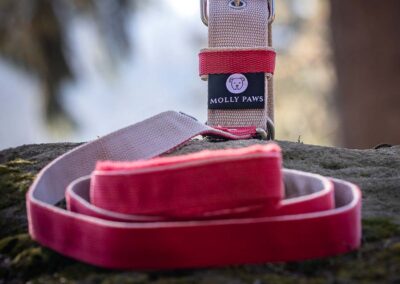 psie gadżety i wyposażenie