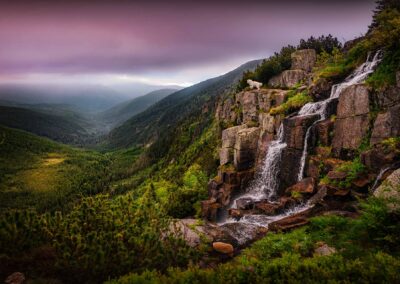 pies na tle pięknego górskiego krajobrazu