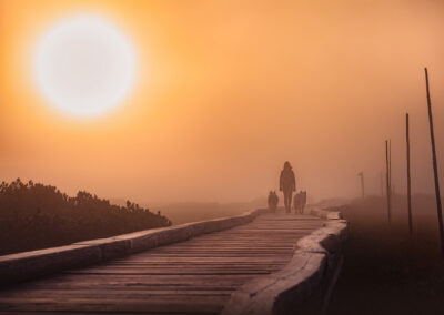 pies na tle pięknego górskiego krajobrazu