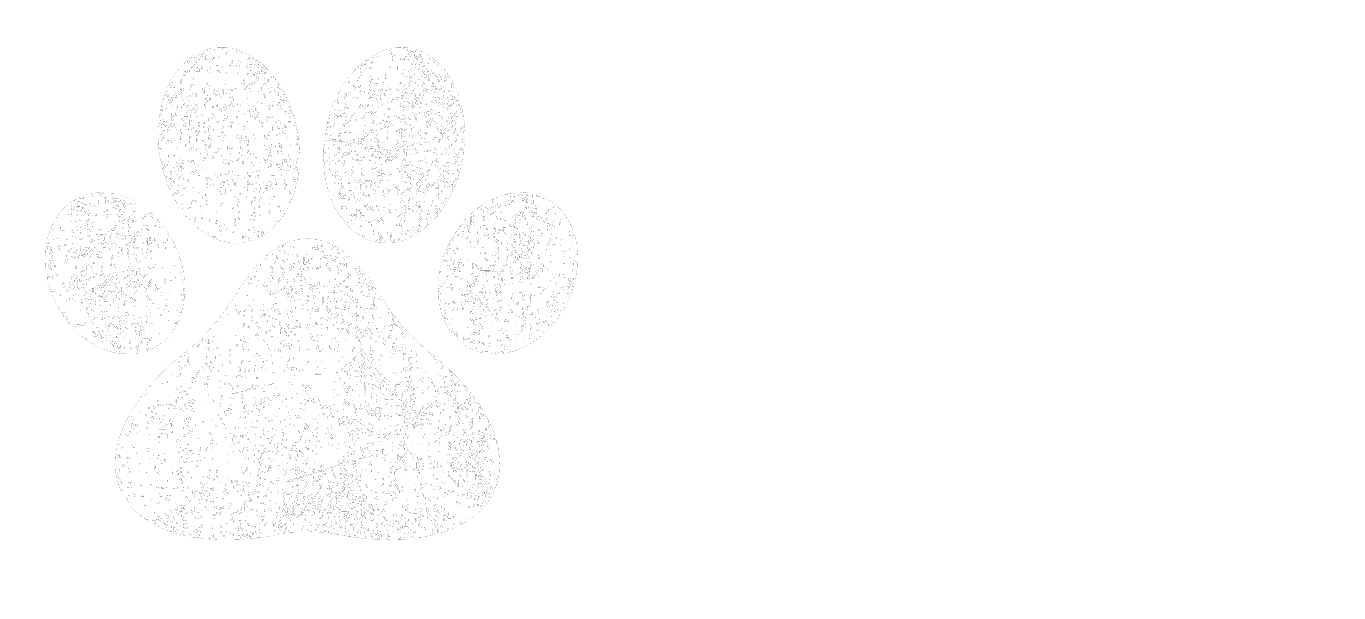 tomasz mazuga fotografia logo