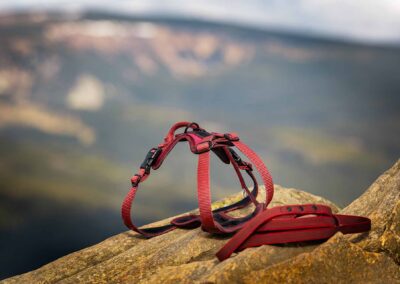 psie gadżety i wyposażenie