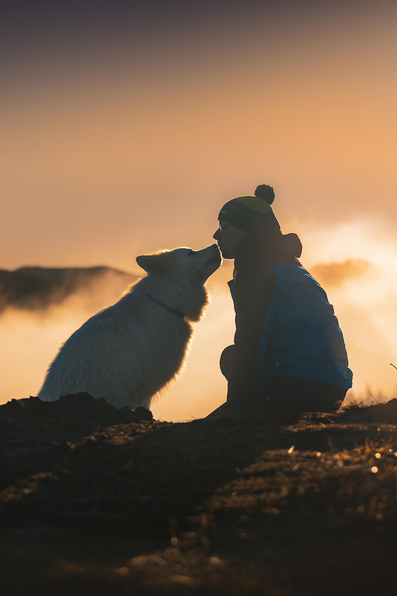 mężczyzna w górach z psem